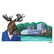 Load image into Gallery viewer, Ume Älv T-Shirt