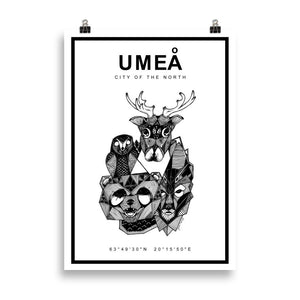 Umeå poster with coordinates and drawings of Northern Swedish animals.